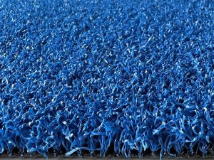 Blue plate tennis lawn